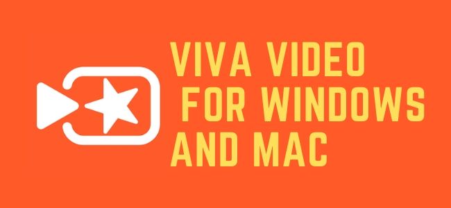 viva video editor online pc